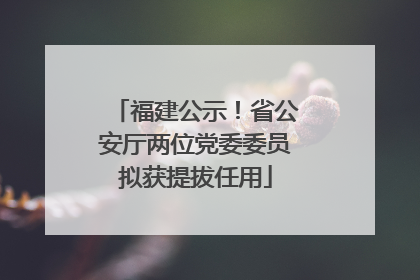 福建公示！省公安厅两位党委委员拟获提拔任用