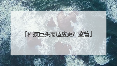 科技巨头需适应更严监管