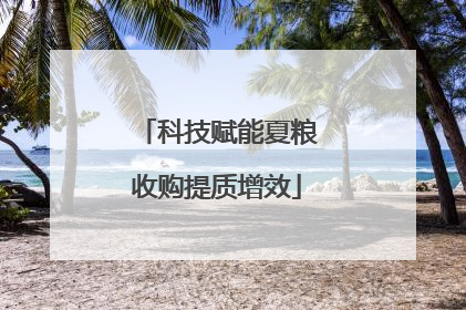 科技赋能夏粮收购提质增效