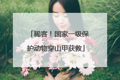 稀客！国家一级保护动物穿山甲获救
