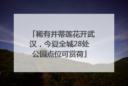 稀有并蒂莲花开武汉，今夏全城28处公园点位可赏荷