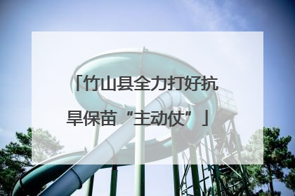 竹山县全力打好抗旱保苗“主动仗”
