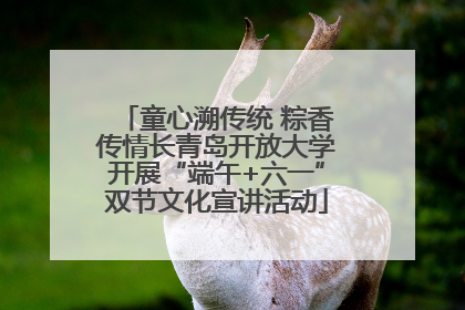 童心溯传统 粽香传情长青岛开放大学开展“端午+六一”双节文化宣讲活动