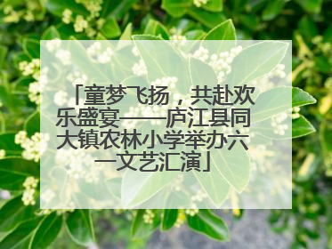 童梦飞扬，共赴欢乐盛宴——庐江县同大镇农林小学举办六一文艺汇演