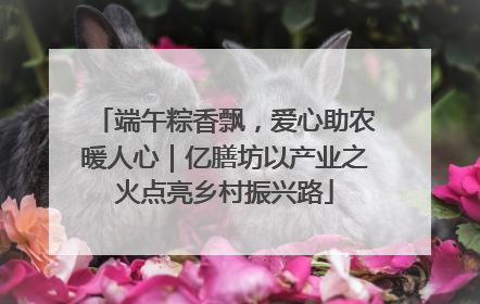 端午粽香飘，爱心助农暖人心｜亿膳坊以产业之火点亮乡村振兴路