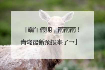 端午假期，雨雨雨！青岛最新预报来了→