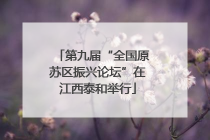 第九届“全国原苏区振兴论坛”在江西泰和举行