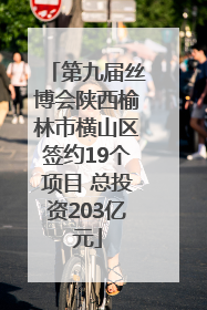 第九届丝博会陕西榆林市横山区签约19个项目 总投资203亿元