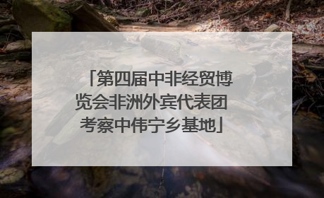 第四届中非经贸博览会非洲外宾代表团考察中伟宁乡基地