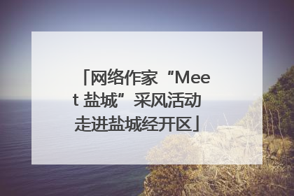 网络作家“Meet 盐城”采风活动走进盐城经开区