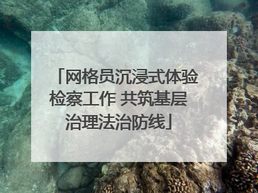 网格员沉浸式体验检察工作 共筑基层治理法治防线