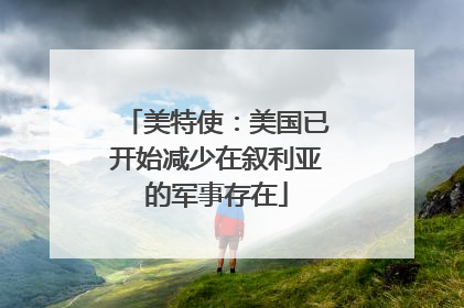 美特使：美国已开始减少在叙利亚的军事存在