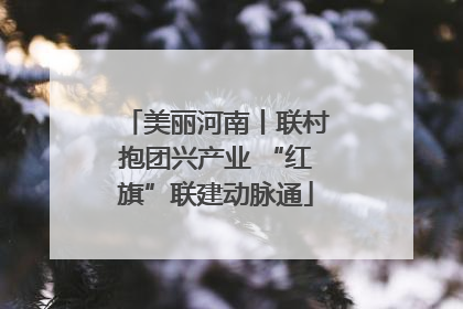 美丽河南丨联村抱团兴产业 “红旗”联建动脉通