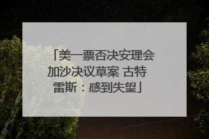 美一票否决安理会加沙决议草案 古特雷斯：感到失望