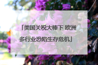 美国关税大棒下 欧洲多行业恐陷生存危机
