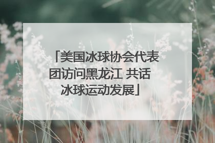美国冰球协会代表团访问黑龙江 共话冰球运动发展
