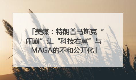 美媒：特朗普马斯克“闹崩”让“科技右翼”与MAGA的不和公开化