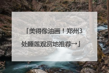 美得像油画！郑州3处睡莲观赏地推荐→