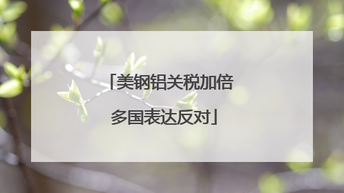 美钢铝关税加倍 多国表达反对