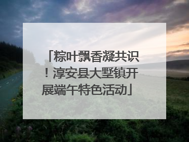 粽叶飘香凝共识！淳安县大墅镇开展端午特色活动