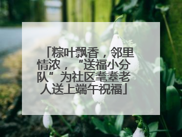 粽叶飘香，邻里情浓，“送福小分队”为社区耄耋老人送上端午祝福