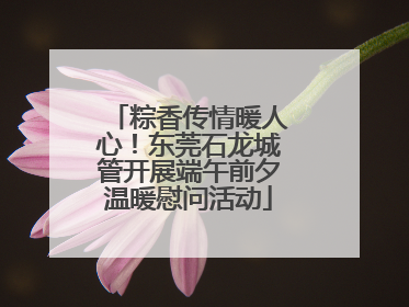 粽香传情暖人心！东莞石龙城管开展端午前夕温暖慰问活动
