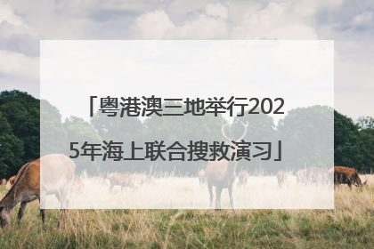 粤港澳三地举行2025年海上联合搜救演习