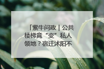 紫牛问政｜公共楼梯竟“变”私人领地？宿迁沭阳不动产登记引质疑
