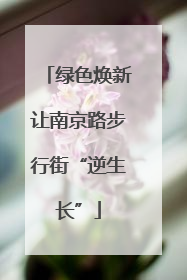 绿色焕新让南京路步行街“逆生长”
