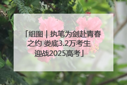 组图｜执笔为剑赴青春之约 娄底3.2万考生迎战2025高考