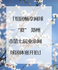 组团畅享网球一“夏” 郑州市第七届业余网球团体赛开拍