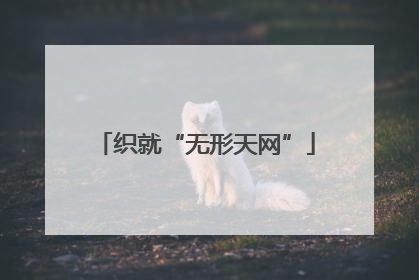 织就“无形天网”