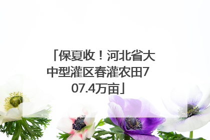 保夏收！河北省大中型灌区春灌农田707.4万亩