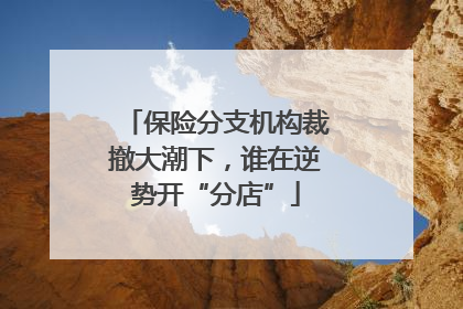 保险分支机构裁撤大潮下，谁在逆势开“分店”