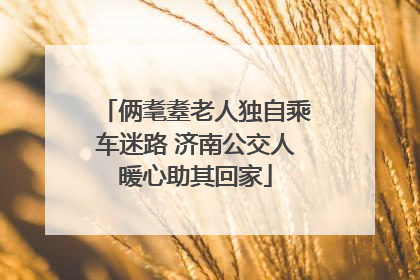 俩耄耋老人独自乘车迷路 济南公交人暖心助其回家