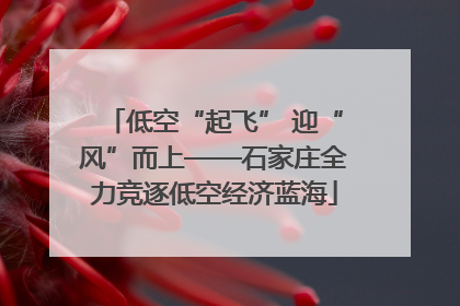 低空“起飞” 迎“风”而上——石家庄全力竞逐低空经济蓝海