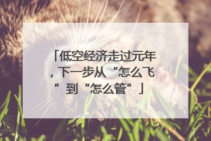 低空经济走过元年，下一步从“怎么飞”到“怎么管”
