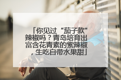 你见过“茄子款”辣椒吗？青岛培育出富含花青素的紫辣椒，生吃自带水果甜