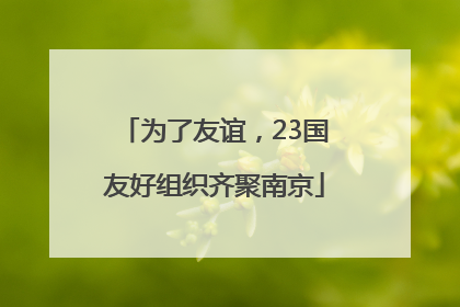 为了友谊，23国友好组织齐聚南京