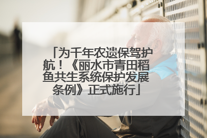 为千年农遗保驾护航！《丽水市青田稻鱼共生系统保护发展条例》正式施行