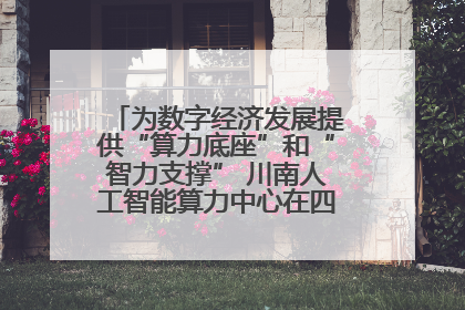 为数字经济发展提供“算力底座”和“智力支撑” 川南人工智能算力中心在四川泸州启动