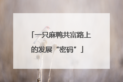 一只麻鸭共富路上的发展“密码”