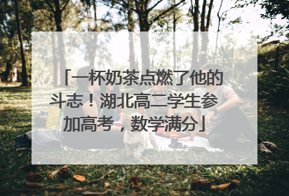 一杯奶茶点燃了他的斗志！湖北高二学生参加高考，数学满分