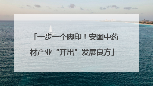 一步一个脚印！安图中药材产业“开出”发展良方