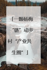 一颗杨梅“链”动乡村“产业共生圈”