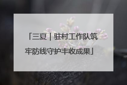 三夏｜驻村工作队筑牢防线守护丰收成果