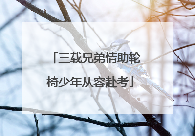 三载兄弟情助轮椅少年从容赴考