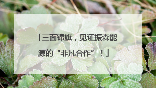 三面锦旗，见证振森能源的“非凡合作”！