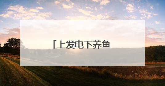 上发电下养鱼 废坑塘巧生金