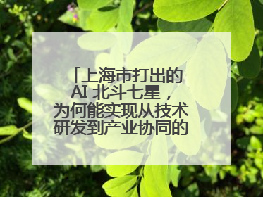 上海市打出的 AI 北斗七星，为何能实现从技术研发到产业协同的闭环生态